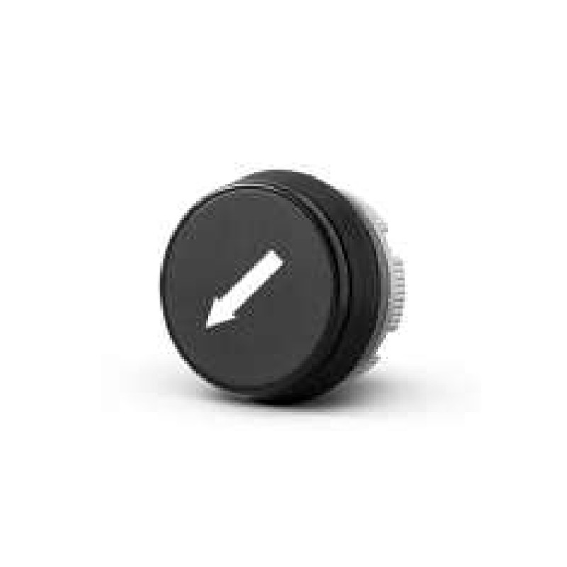 Cabezal Pulsador Flecha Inclin. Bla/Neg p/Botonera PL/PLB PL005027 Giovenzana Cabezal Pulsador Flecha Inclin. Bla/Neg p/Botonera PL/PLB PL005027 Giovenzana