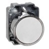 Pulsador Metalico Ø22 Rasante, Ip40, S/Cont, Blanco SLMRN5 Steck
